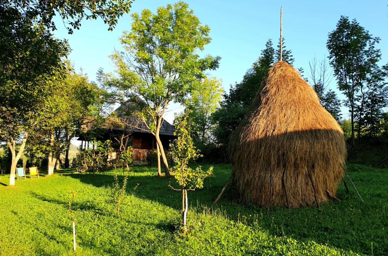 Granny'S House Villa Moisei Exterior photo