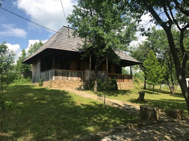 Granny'S House Villa Moisei Exterior photo